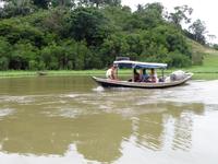 100 Auf dem Amazonas (5)