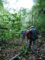 100 Auf dem Amazonas (20)