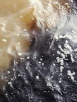 100 Auf dem Amazonas (27)