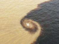 101 Amazonas Zusammenfluss (10)