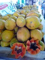 102 Auf dem Markt in Manaus (8)