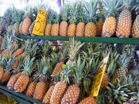 102 Auf dem Markt in Manaus (9)