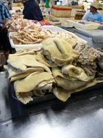 102 Auf dem Markt in Manaus (21)