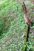 105 Iguazu Brasilien (16)