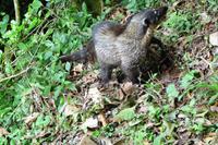 105 Iguazu Brasilien (17)