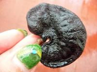 120 Iguazu Argentinien (4)