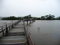 120 Iguazu Argentinien (11)