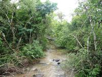 120 Iguazu Argentinien (41)