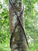 120 Iguazu Argentinien (44)