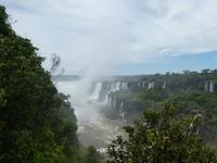 Nationalpark Iguaçu (11)