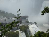 Nationalpark Iguaçu (17)