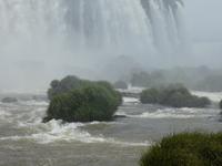Nationalpark Iguaçu (24)