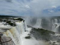 Nationalpark Iguaçu (26)