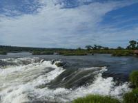 Nationalpark Iguazú (14)