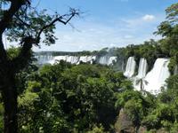 Nationalpark Iguazú (36)