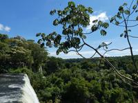 Nationalpark Iguazú (46)