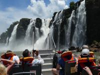 Nationalpark Iguazú (63)