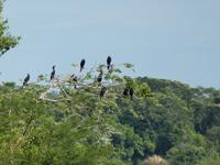 Nationalpark Iguazú (9)