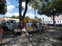 Salvador (54)