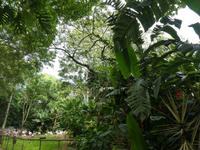 Parque das aves in Foz do Iguaçu  (6)