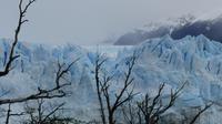 Perito Moreno-Gletscher &ndash; &copy; Frank Nimschowski (Eberhardt TRAVEL)