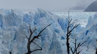 Perito Moreno-Gletscher &ndash; &copy; Frank Nimschowski (Eberhardt TRAVEL)