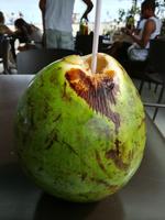 084 Rio - Kokosnuss - ein erfrischendes Getränk