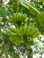 100 Amazonas - Besuch bei Familie Aurora