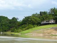 113 Amazonas - auf dem Weg in den Regenwald