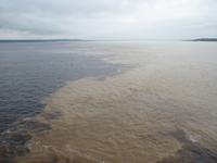 124 Amazonas - Zusammenfluß mit Rio Negro