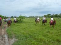 166 Pantanal - Reitausflug