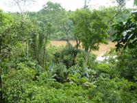 197 Iguazu - Spaziergang im Hotelpark