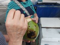 Rio de Janeiro Kokosnusswasser am See Lagoa Brasilien