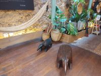 Geschäft mit typischen Produkten aus dem Amazonas. Rio de Janeiro