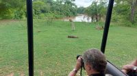 Safari mit Jeep im Pantanal. Foto: Anette Rietz