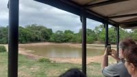 Safari mit dem Jeep im Pantanal zum See mit Kaimanen.