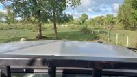 Jeep-Safari im Pantanal.