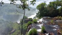 Die Wasserfälle im Nationalpark Iguazu in Argentinien. Foto: Anette Rietz