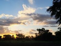 dramatischer Himmel im Pantanal 