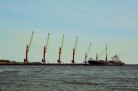 Kranballett bei Manaus