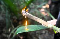 eine natürliche Fackel die länger brennt 