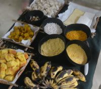 kleines Buffet der hiesigen Speisen zum Kosten für uns am Amazonas