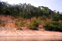 der Amazonas steigt noch weiter bis zur oberen Baumgrenze