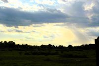 Himmelsromantik im Pantanal