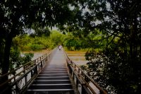 befestigte Brücken erleichtern den Zugang zu den Iguazu-Fällen