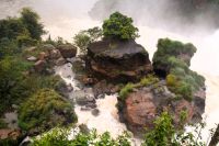 Vegetation an den Iguazu-Wasserfällen in Argentinien