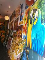 Salvador de Bahia - Pelourinho