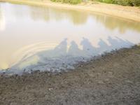 die Gruppe lauert auf ein Fotomotiv