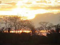 Sonnenuntergang im Pantanal