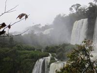Iguazu Wasserfälle